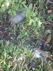 DSCN0114