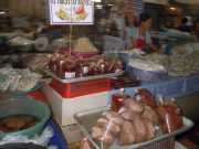 DSCN0177