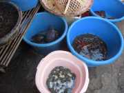 DSCN0180