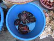 DSCN0181