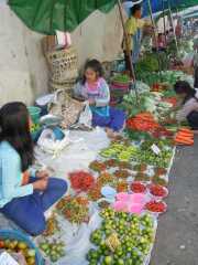 DSCN0183