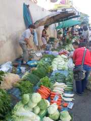 DSCN0184