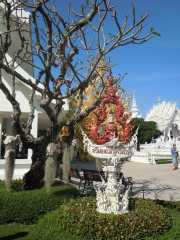 DSCN0196
