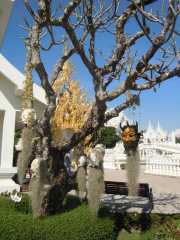 DSCN0197