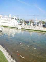 DSCN0201