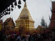 DSCN0238