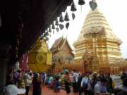 DSCN0239
