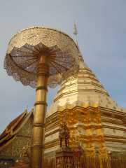 DSCN0242