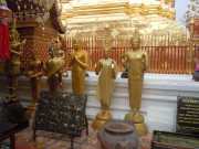 DSCN0243