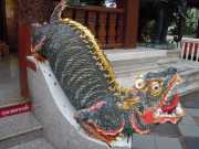 DSCN0245