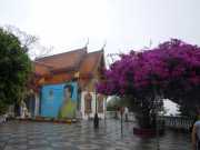 DSCN0249