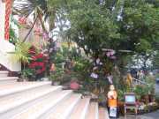 DSCN0251