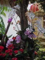 DSCN0252