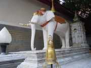 DSCN0254
