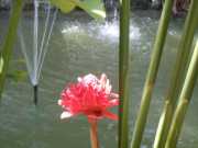 DSCN0261