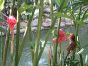 DSCN0262