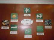 DSCN0263