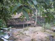 DSCN0271