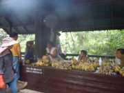 DSCN0272