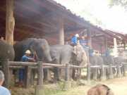 DSCN0274
