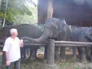 DSCN0282