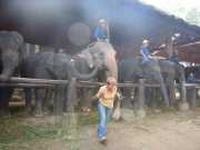 DSCN0283