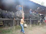 DSCN0284
