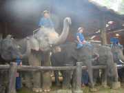 DSCN0285