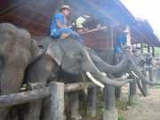 DSCN0286