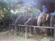 DSCN0290