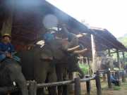 DSCN0291