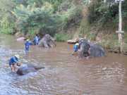 DSCN0315
