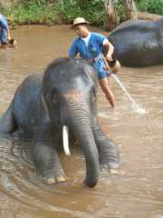 DSCN0321