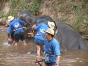 DSCN0325