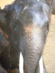 DSCN0326