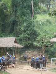 DSCN0332
