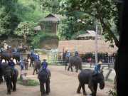 DSCN0334