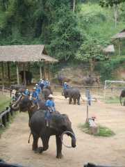 DSCN0338
