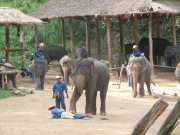 DSCN0356