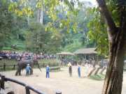 DSCN0357