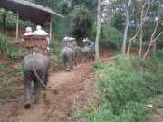DSCN0365
