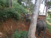 DSCN0368