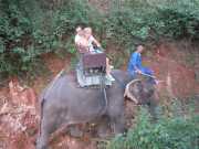 DSCN0369