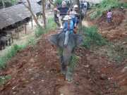 DSCN0371