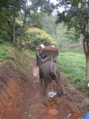 DSCN0372