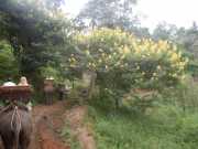 DSCN0373
