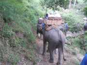 DSCN0374