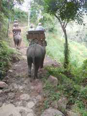 DSCN0375