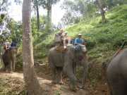DSCN0383