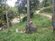 DSCN0385